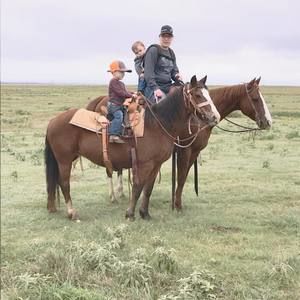 Meet your Posher, Ashton